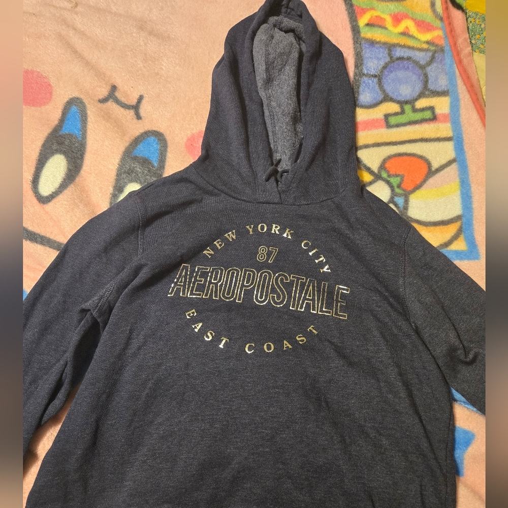 87 Aeropostale New York City Hoodie